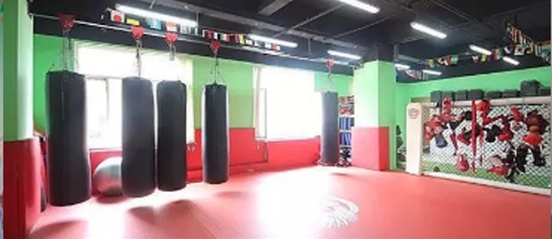 沈阳少儿假期搏击培训来拳力东北虎搏击俱乐部